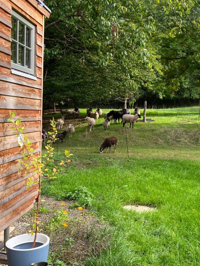 Grimmwald Tiny House Villa Calden Екстериор снимка